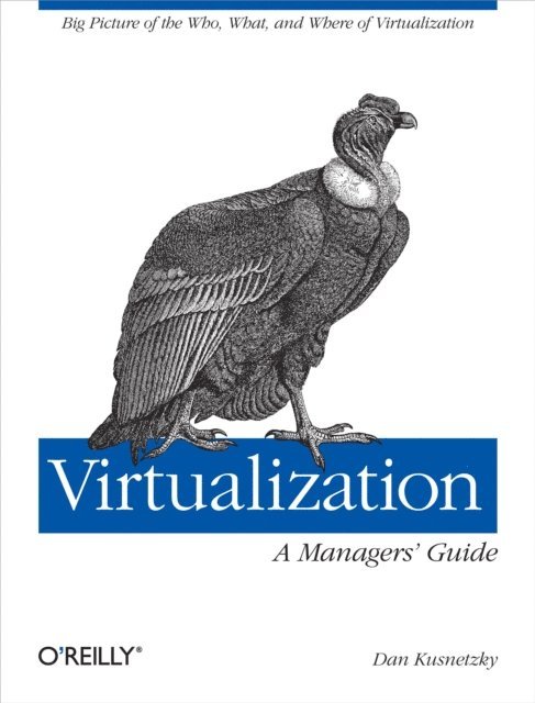 Dan Kusnetzky - Virtualization: A Manager's Guide, E-bok