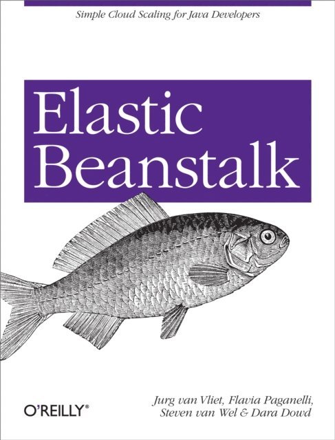 Dara Dowd, Steven van Wel, Flavia Paganelli, Jurg van Vliet - Elastic Beanstalk, E-bok