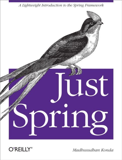 Madhusudhan Konda - Just Spring, E-bok
