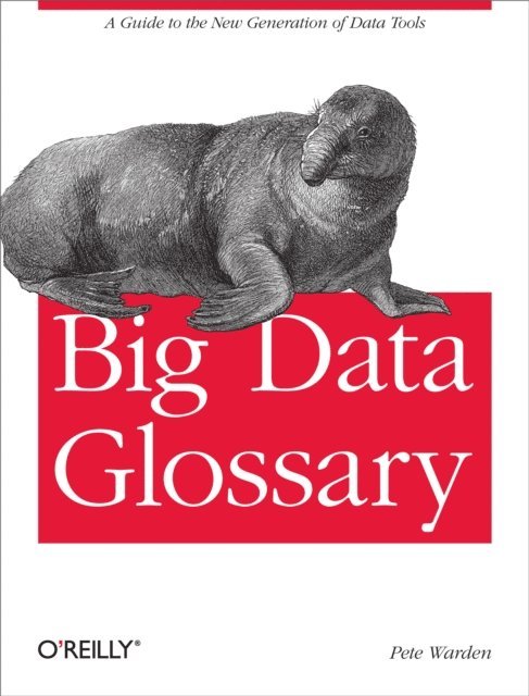 Pete Warden - Big Data Glossary, E-bok