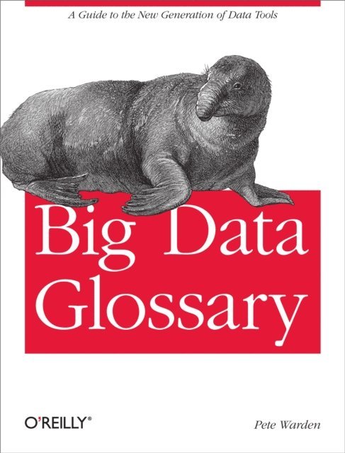Pete Warden - Big Data Glossary, E-bok
