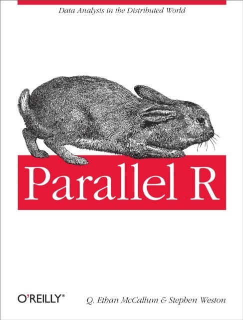 Stephen Weston, Q. Ethan McCallum - Parallel R, E-bok