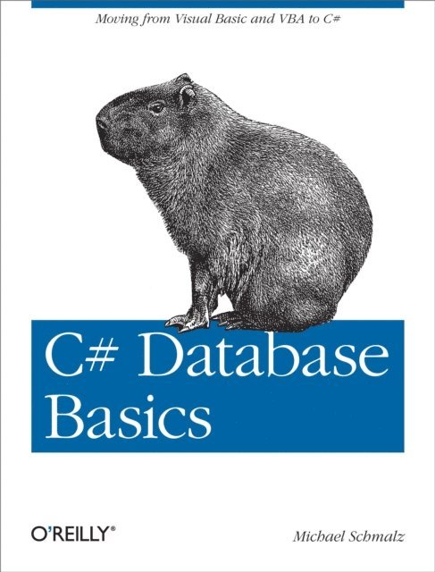Michael Schmalz - C# Database Basics, E-bok