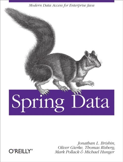 Michael Hunger, Jon Brisbin, Thomas Risberg, Oliver Gierke, Mark Pollack - Spring Data, E-bok