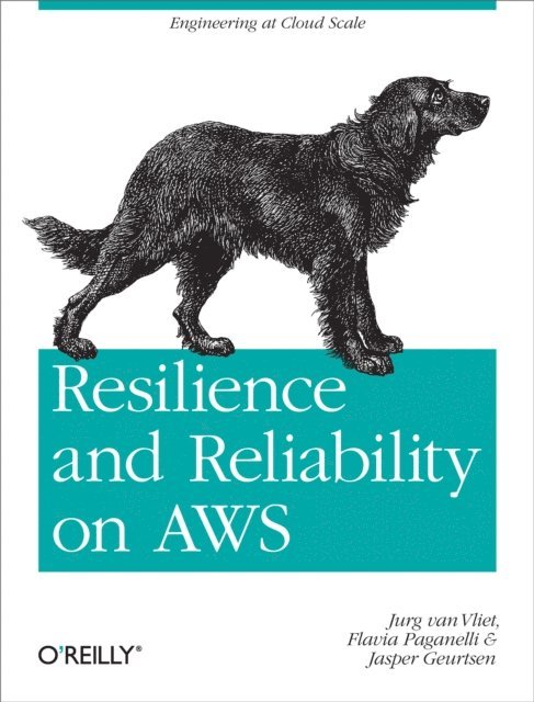 Jasper Geurtsen, Flavia Paganelli, Jurg van Vliet - Resilience and Reliability on AWS, E-bok