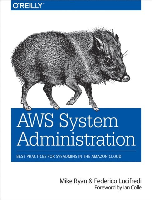 Federico Lucifredi, Mike Ryan - AWS System Administration, E-bok
