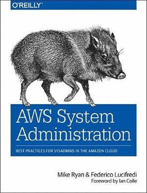 Mike Ryan, Federico Lucifredi - AWS System Administration, Häftad