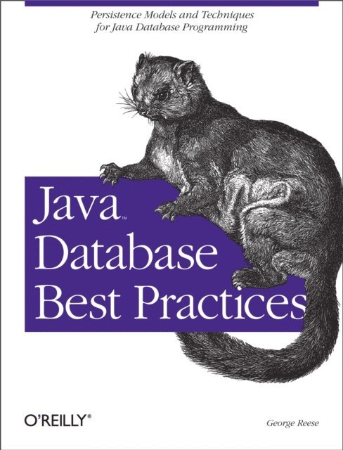 George Reese - Java Database Best Practices, E-bok