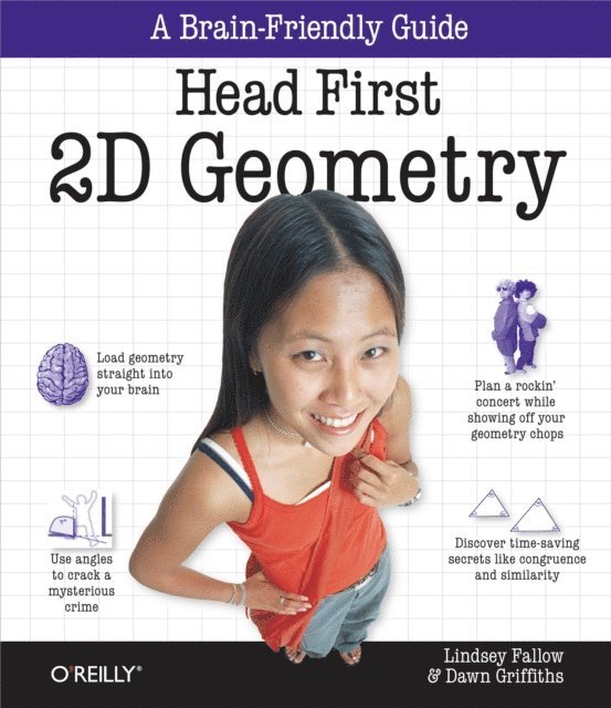 Dawn Griffiths, Stray (Lindsey Fallow) - Head First 2D Geometry, E-bok