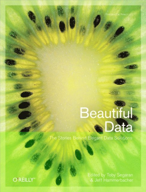 Jeff Hammerbacher, Toby Segaran - Beautiful Data, E-bok