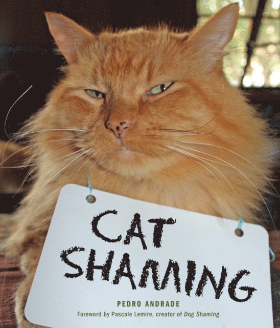 Pedro Andrade - Cat Shaming, E-bok