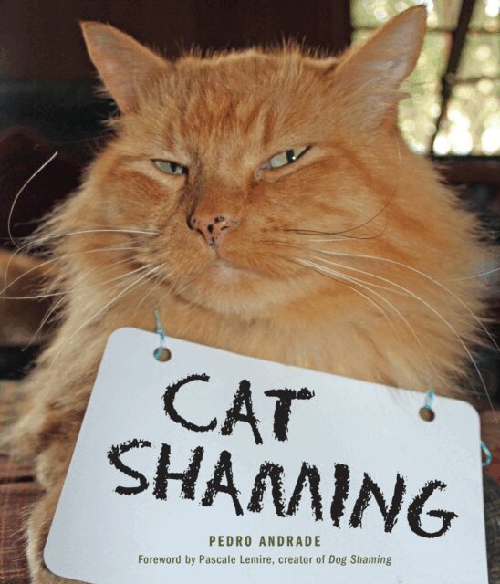Pedro Andrade - Cat Shaming, E-bok