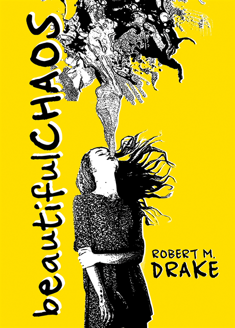 Robert M. Drake - Beautiful Chaos, E-bok
