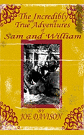 Joe Davison - The Incredibly Not So True Adventures of Sam and William, Häftad. Tillgänglighet: Lägg i varukorg