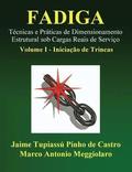 Fadiga - Técnicas e Práticas de Dimensionamento Estrutural sob Cargas Reais de Serviço: Volume I - Iniciação de Trincas