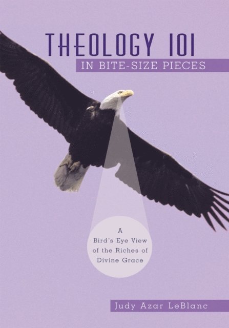 Judy Azar LeBlanc - Theology 101 in Bite-Size Pieces, E-bok