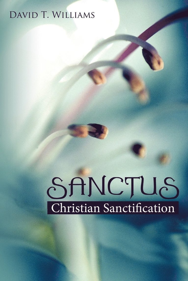David T Williams - Sanctus, Häftad. Tillgänglighet: Lägg i varukorg