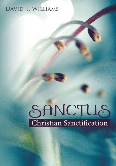David T Williams - Sanctus, E-bok. Tillgänglighet: Lägg i varukorg