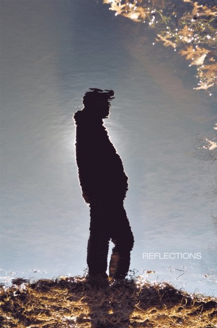 Stephen Sterling - Reflections, E-bok