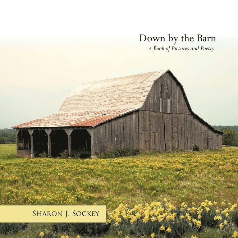 Sharon J. Sockey - Down by the Barn, Häftad