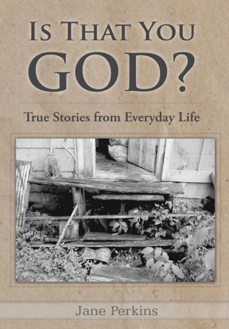 Jane Perkins - Is That You, God?, E-bok