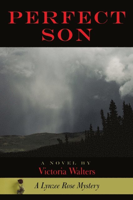 Victoria Walters - Perfect Son, E-bok
