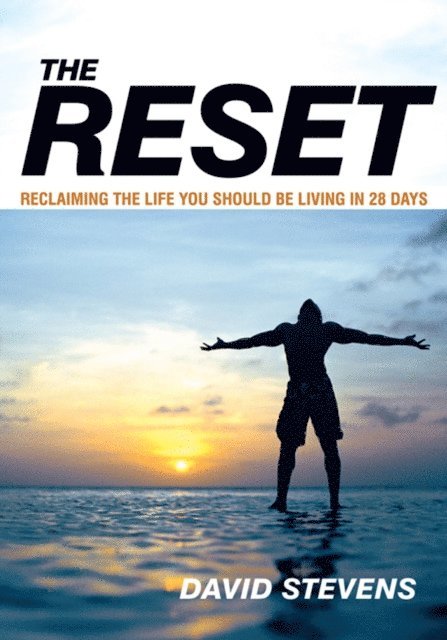 DAVID STEVENS - Reset, E-bok
