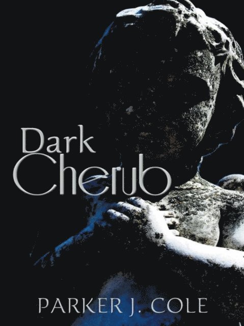 Parker J. Cole - Dark Cherub, E-bok