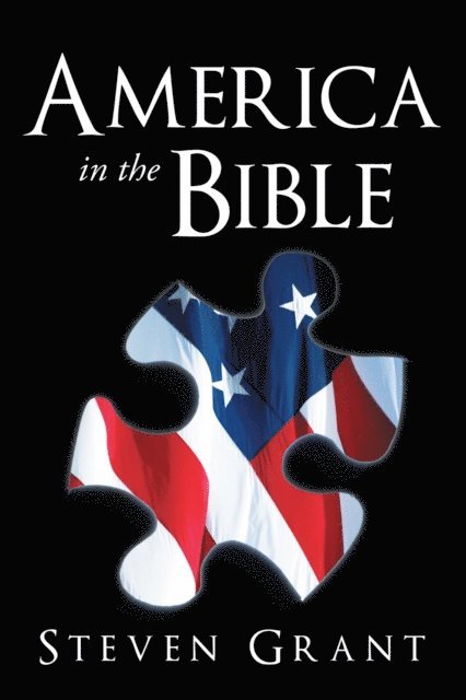 Steven Grant - America in the Bible, E-bok