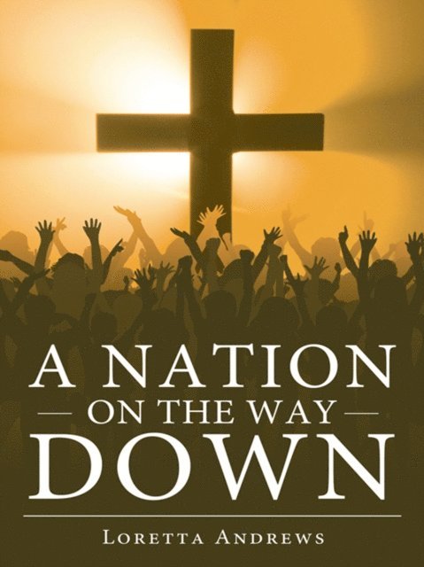 Loretta Andrews - Nation on the Way Down, E-bok