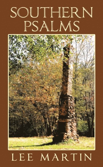 Lee Martin - Southern Psalms, E-bok