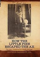 Arthur Barnett - How the Little Pine Escaped the Ax, Inbunden