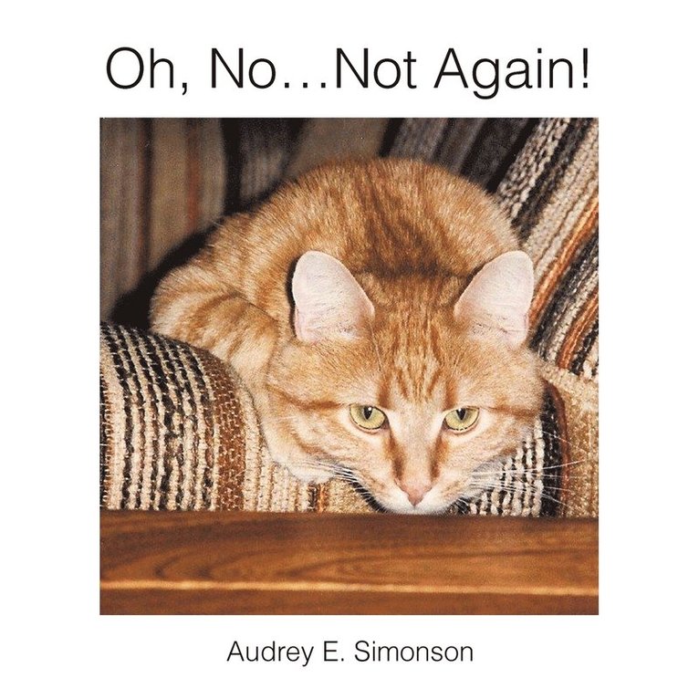 Audrey E Simonson - Oh, No.Not Again!, Häftad. Tillgänglighet: Lägg i varukorg