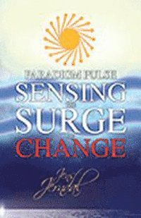 Jens Jerndal - Paradigm Pulse, Inbunden