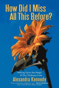 How Did I Miss All This Before?