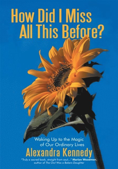 Alexandra Kennedy - How Did I Miss All This Before?, E-bok