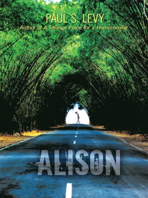 Paul S. Levy - Alison, E-bok