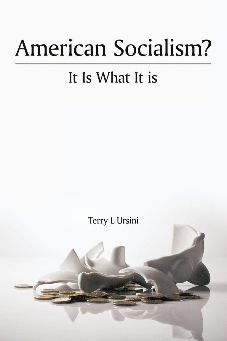 Terry L Ursini - American Socialism? It Is What It Is, Häftad