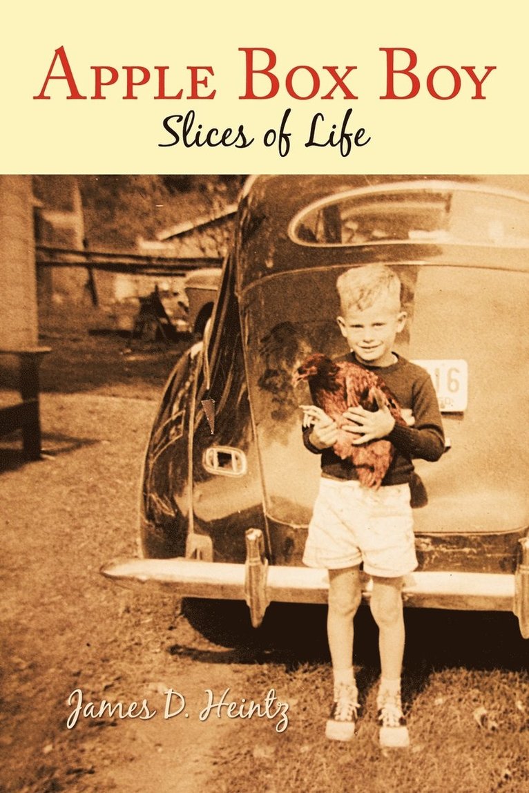 James D Heintz - Apple Box Boy, Häftad. Tillgänglighet: Lägg i varukorg