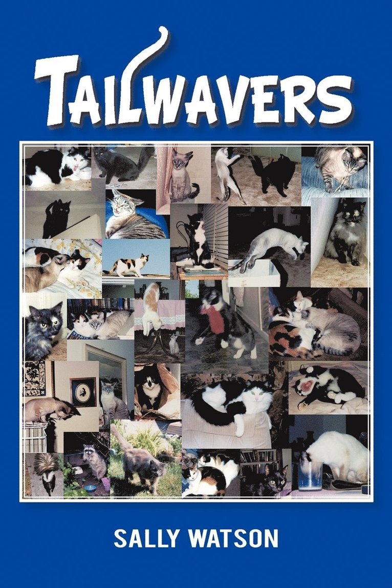 Sally Watson - Tailwavers, Häftad. Tillgänglighet: Lägg i varukorg