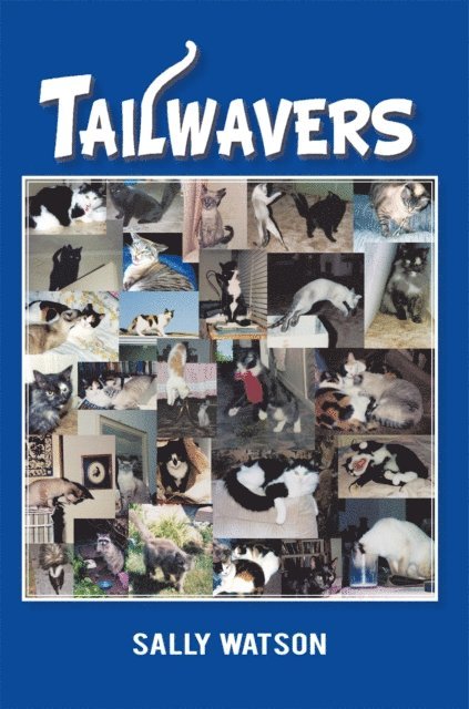Sally Watson - Tailwavers, E-bok. Tillgänglighet: Lägg i varukorg