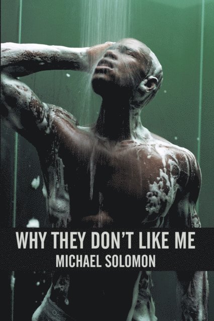 Michael Solomon - Why They Don't Like Me, E-bok