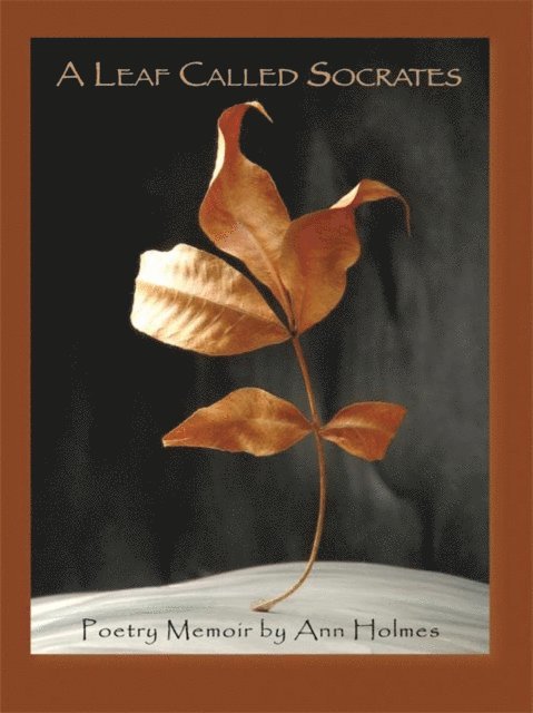 Ann Holmes - Leaf Called Socrates, E-bok