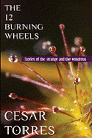 Cesar Torres - The 12 Burning Wheels, Häftad