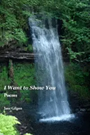 Jane Gilgun - I Want to Show You: Poems, Häftad. Tillgänglighet: Lägg i varukorg