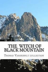 Danny Davis - The Witch of Black Mountain, Häftad. Tillgänglighet: Lägg i varukorg