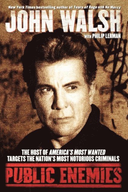 Philip Lerman, John Walsh - Public Enemies, E-bok