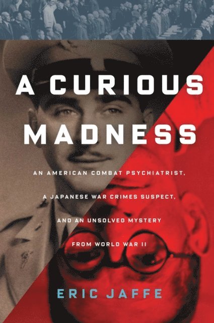 Eric Jaffe - Curious Madness, E-bok