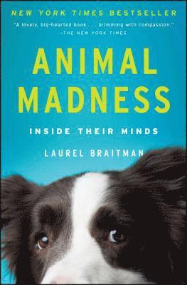 Laurel Braitman - Animal Madness: Inside Their Minds, Häftad