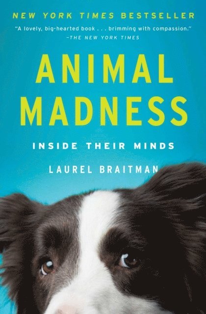 Laurel Braitman - Animal Madness, E-bok